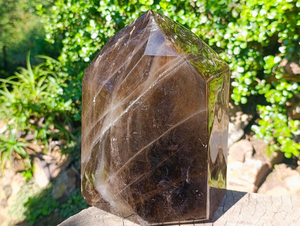 Polished XL Smokey Window Quartz Display Crystal x 1 From Madagascar