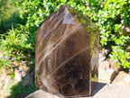 Polished XL Smokey Window Quartz Display Crystal x 1 From Madagascar