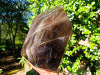 Polished XL Smokey Window Quartz Display Crystal x 1 From Madagascar