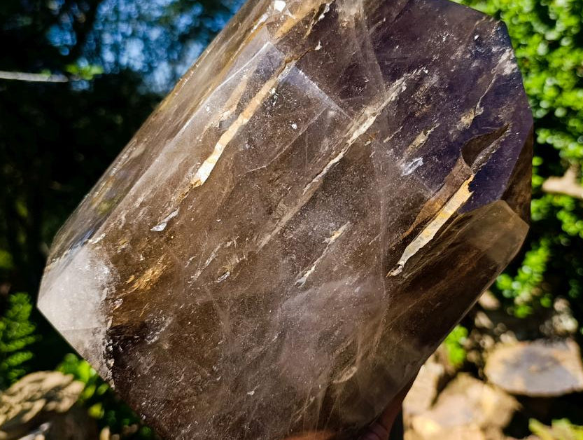 Polished XL Smokey Window Quartz Display Crystal x 1 From Madagascar