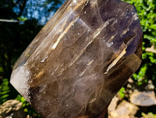Polished XL Smokey Window Quartz Display Crystal x 1 From Madagascar
