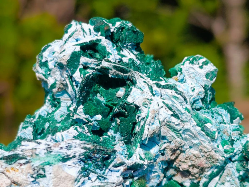 Natural Malachite Pseudomorph with Chrysocolla Specimen x 1 From Kolwezi, Congo