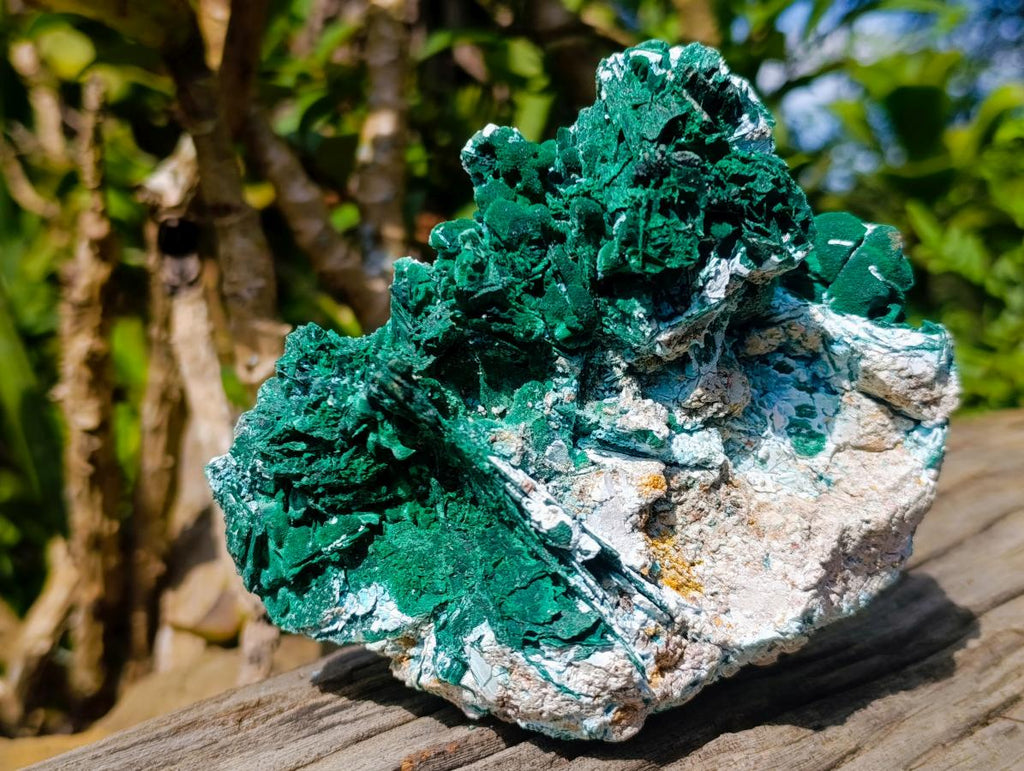 Natural Malachite Pseudomorph with Chrysocolla Specimen x 1 From Kolwezi, Congo