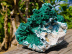 Natural Malachite Pseudomorph with Chrysocolla Specimen x 1 From Kolwezi, Congo