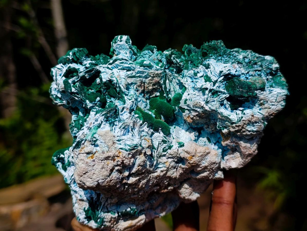 Natural Malachite Pseudomorph with Chrysocolla Specimen x 1 From Kolwezi, Congo
