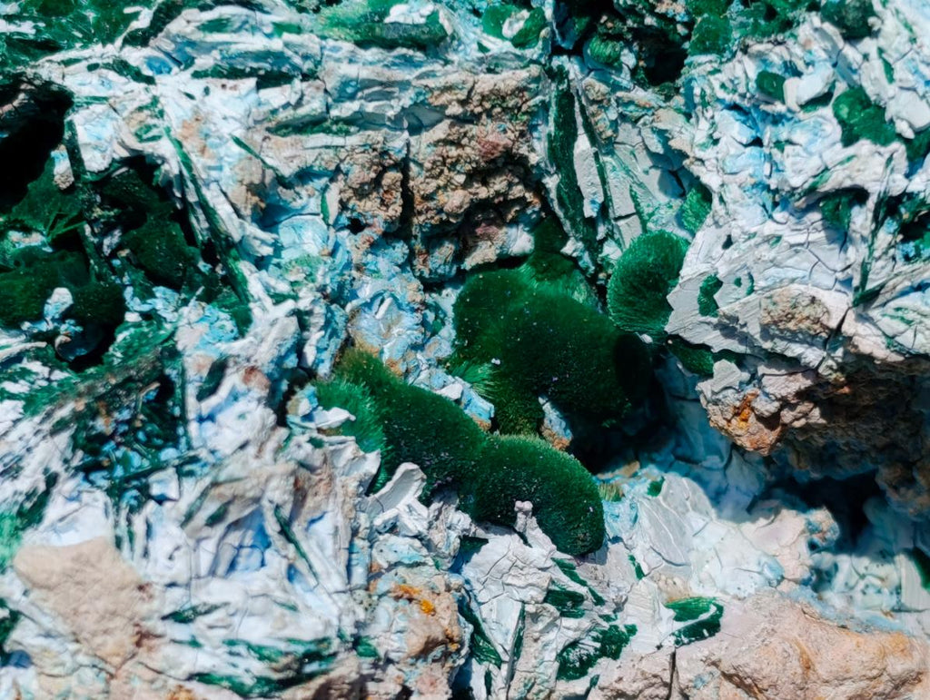 Natural Malachite Pseudomorph with Chrysocolla Specimen x 1 From Kolwezi, Congo