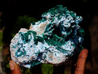 Natural Malachite Pseudomorph with Chrysocolla Specimen x 1 From Kolwezi, Congo