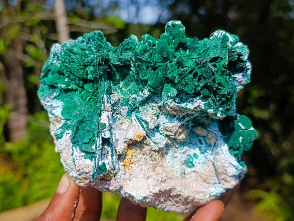 Natural Malachite Pseudomorph with Chrysocolla Specimen x 1 From Kolwezi, Congo