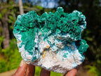 Natural Malachite Pseudomorph with Chrysocolla Specimen x 1 From Kolwezi, Congo