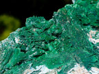 Natural Malachite Pseudomorph with Chrysocolla Specimen x 1 From Kolwezi, Congo