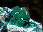 Natural Malachite Pseudomorph with Chrysocolla Specimen x 1 From Kolwezi, Congo