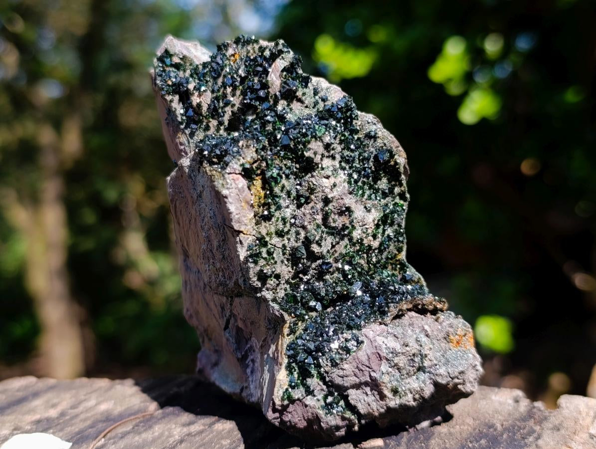 Natural Rare Libethenite Specimen x 1 From Shituru, Congo