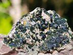 Natural Rare Libethenite Specimen x 1 From Shituru, Congo