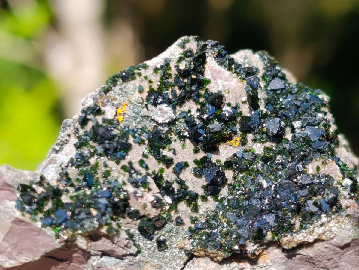 Natural Rare Libethenite Specimen x 1 From Shituru, Congo