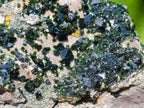 Natural Rare Libethenite Specimen x 1 From Shituru, Congo
