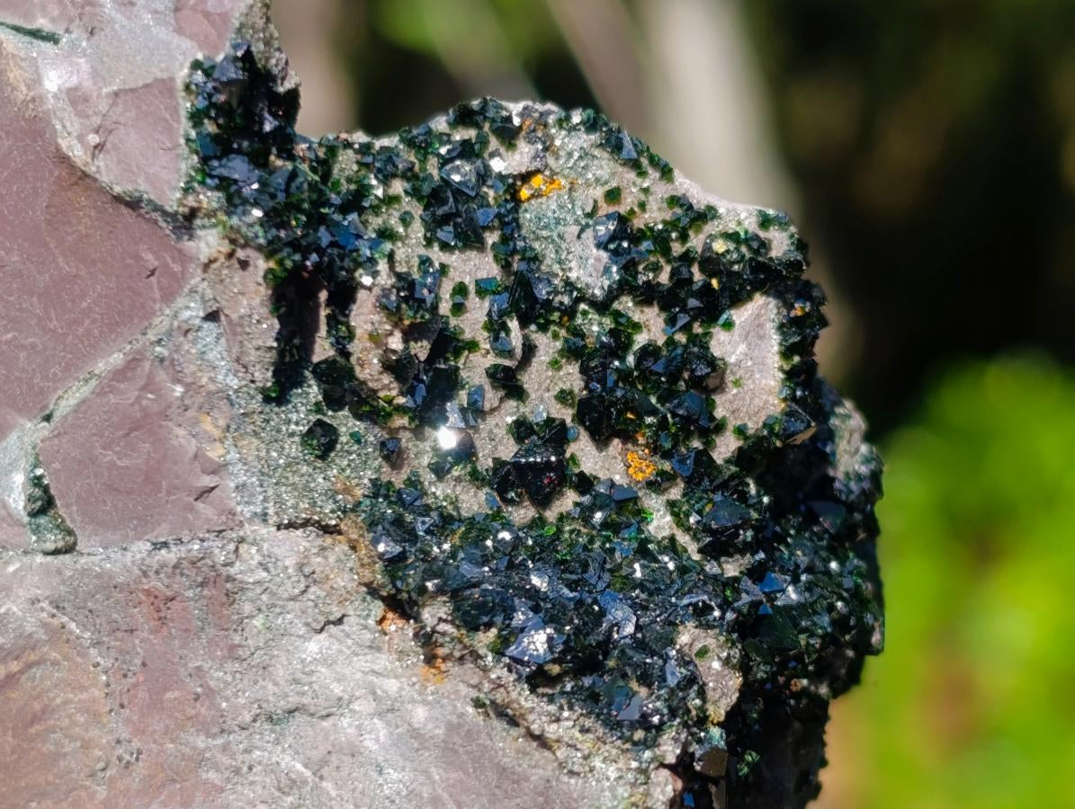 Natural Rare Libethenite Specimen x 1 From Shituru, Congo