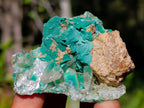 Natural Barite Specimen with Malachite Phantoms x 1 From Shinkolobwe Mine, Congo
