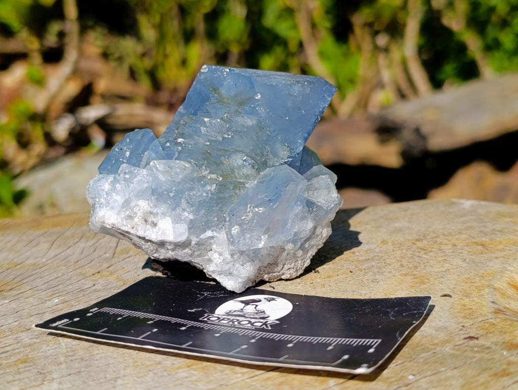 Natural Large Celestite Single Crystal x 1 From Sakoany, Madagascar