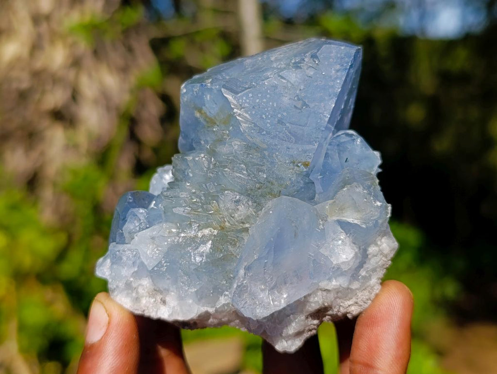 Natural Large Celestite Single Crystal x 1 From Sakoany, Madagascar