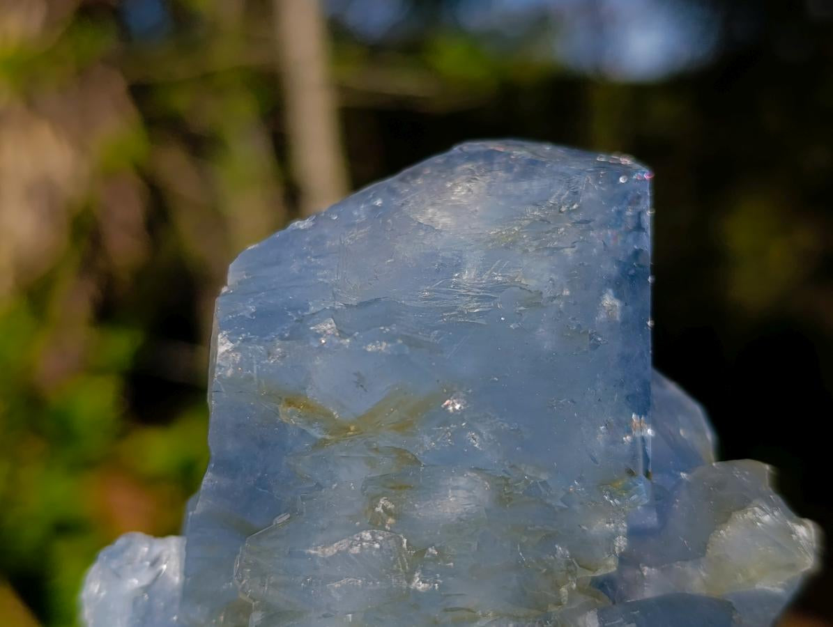 Natural Large Celestite Single Crystal x 1 From Sakoany, Madagascar