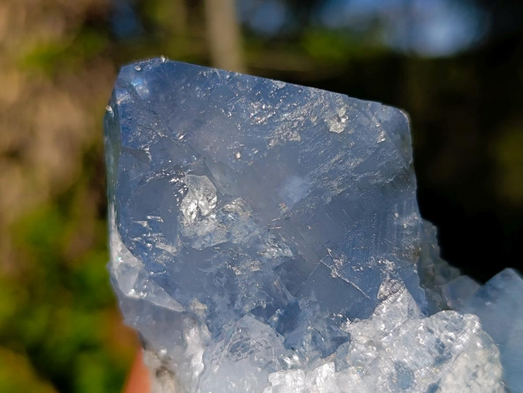 Natural Large Celestite Single Crystal x 1 From Sakoany, Madagascar