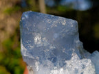 Natural Large Celestite Single Crystal x 1 From Sakoany, Madagascar