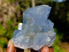 Natural Large Celestite Single Crystal x 1 From Sakoany, Madagascar