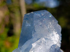 Natural Large Celestite Single Crystal x 1 From Sakoany, Madagascar