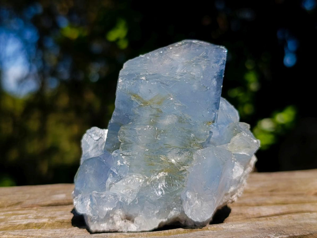 Natural Large Celestite Single Crystal x 1 From Sakoany, Madagascar