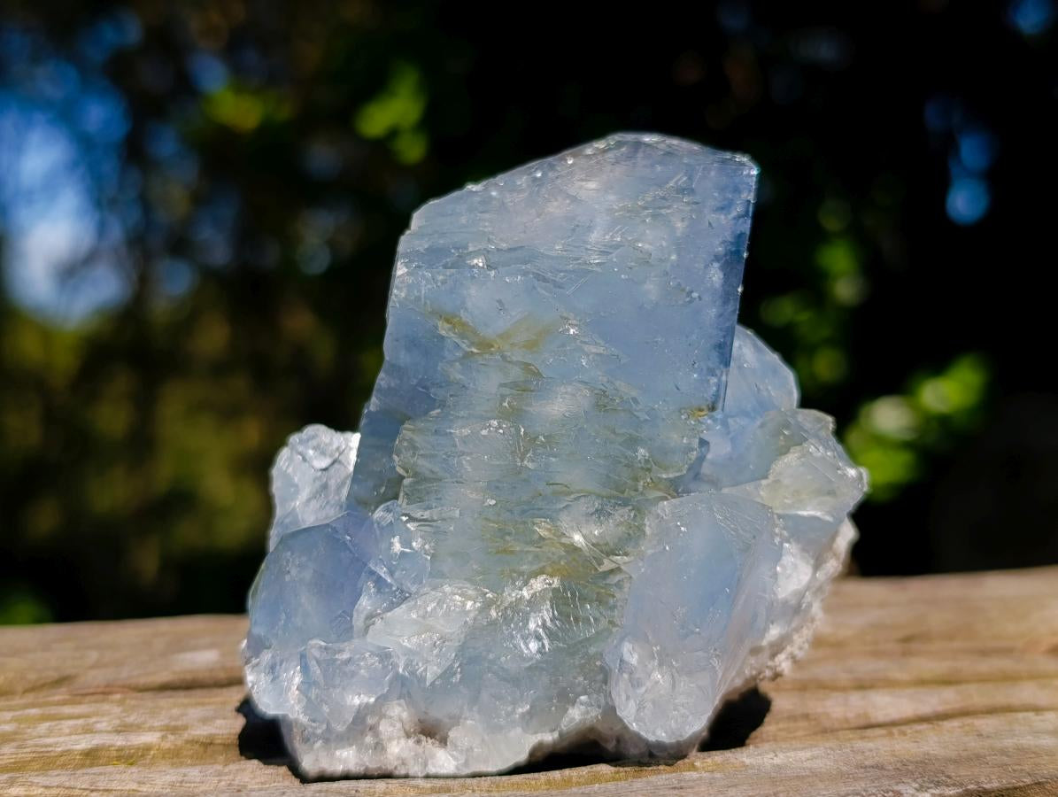 Natural Large Celestite Single Crystal x 1 From Sakoany, Madagascar