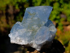 Natural Large Celestite Single Crystal x 1 From Sakoany, Madagascar
