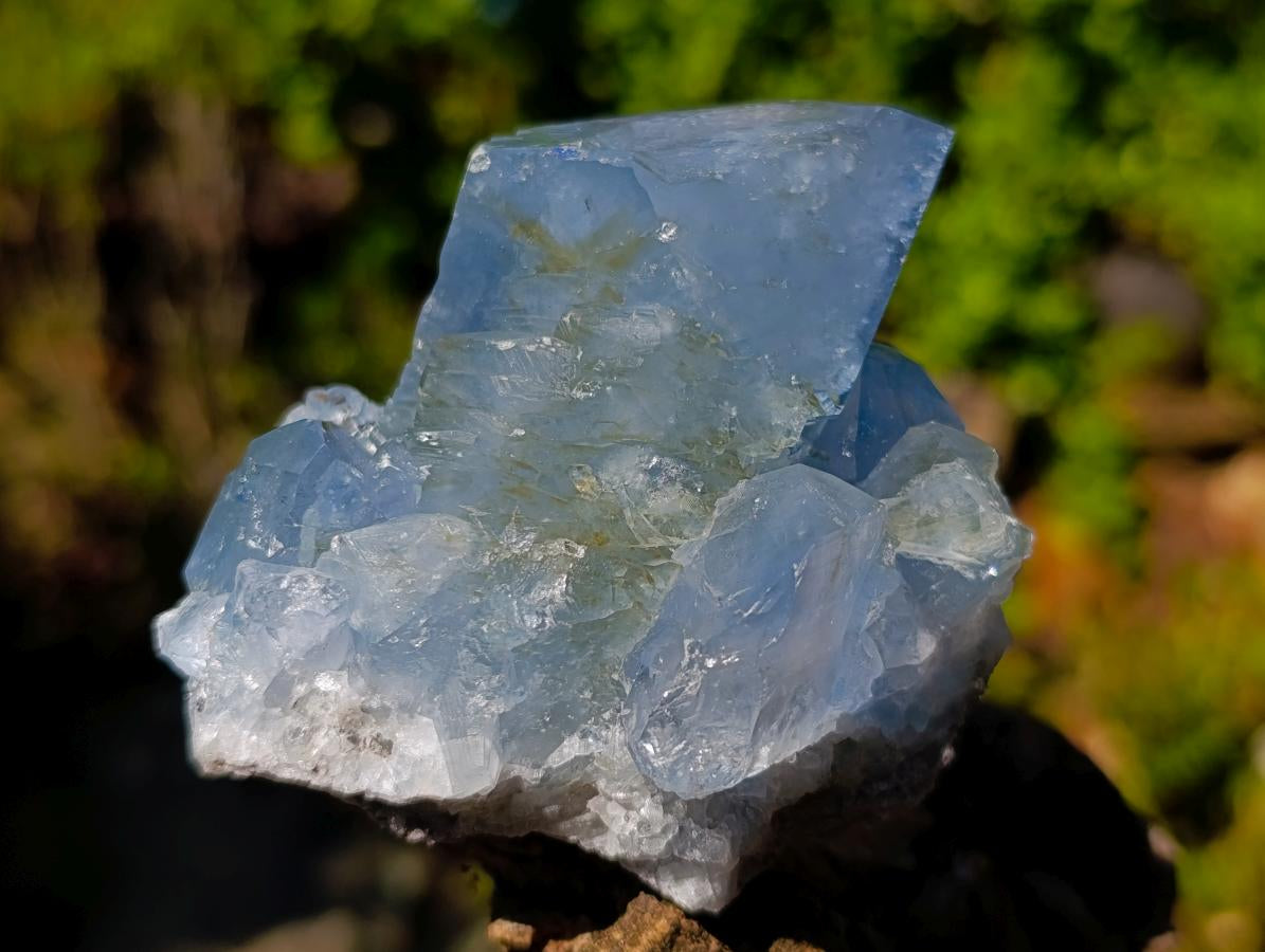 Natural Large Celestite Single Crystal x 1 From Sakoany, Madagascar