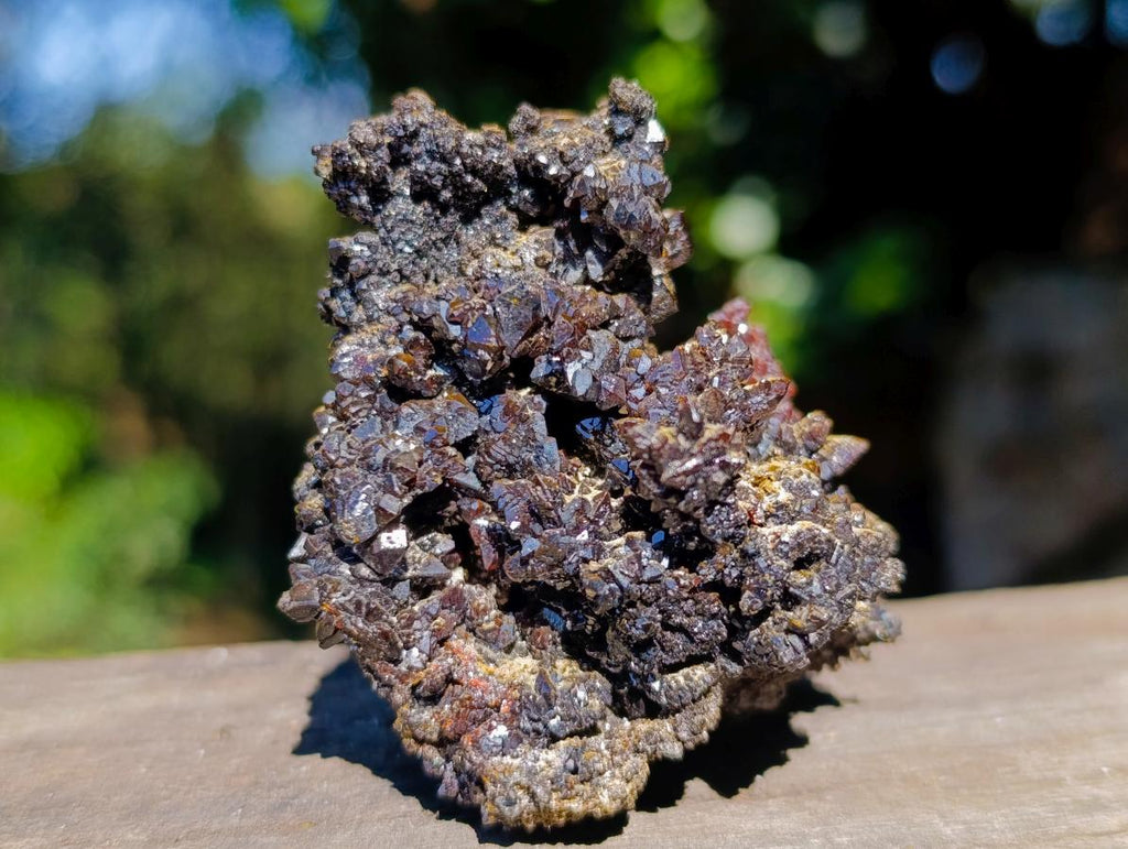 Natural Rare Crystalline Descloizite Specimen x 1 From Berg Aukas, Namibia
