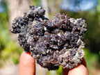 Natural Rare Crystalline Descloizite Specimen x 1 From Berg Aukas, Namibia