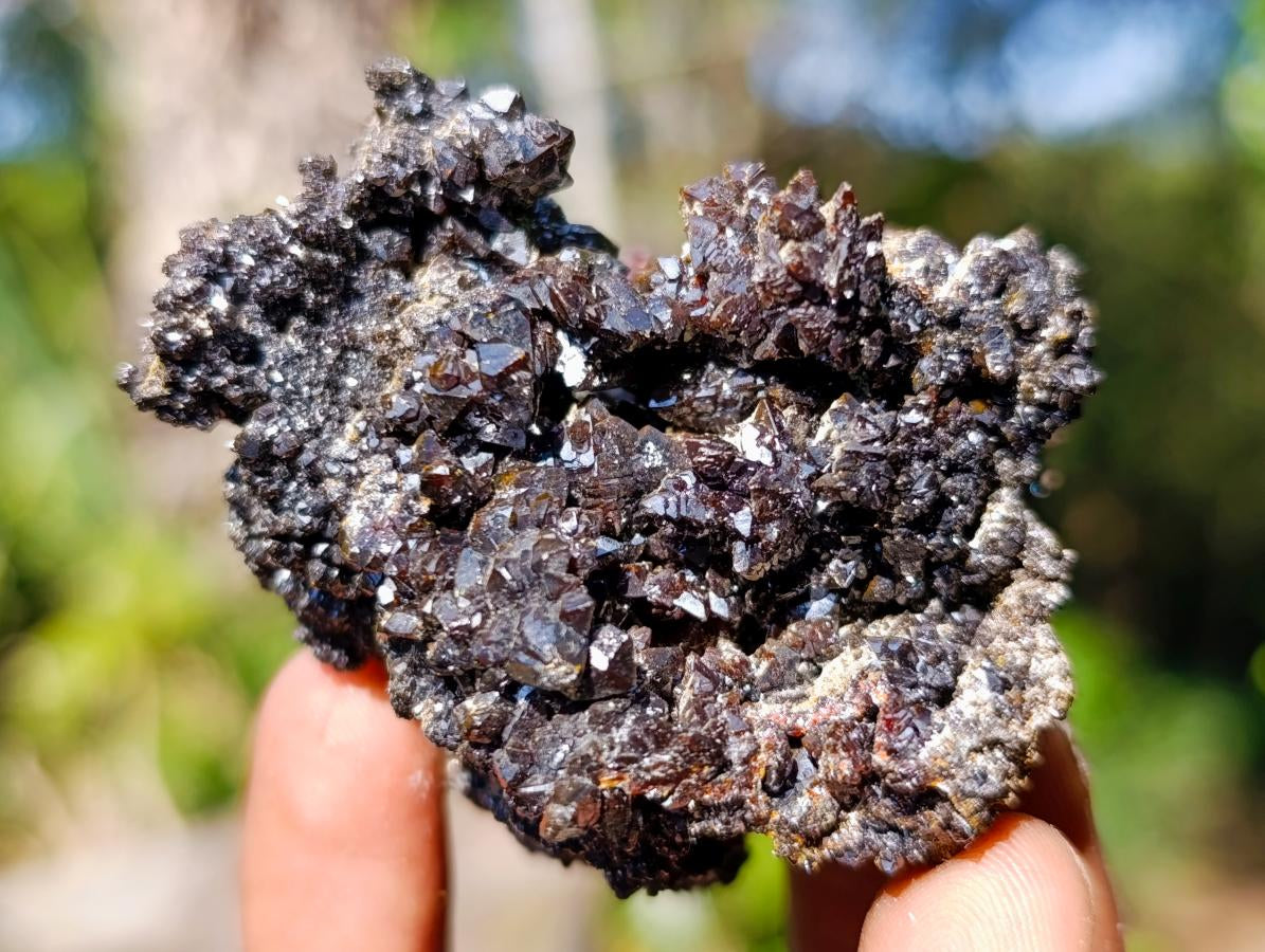 Natural Rare Crystalline Descloizite Specimen x 1 From Berg Aukas, Namibia