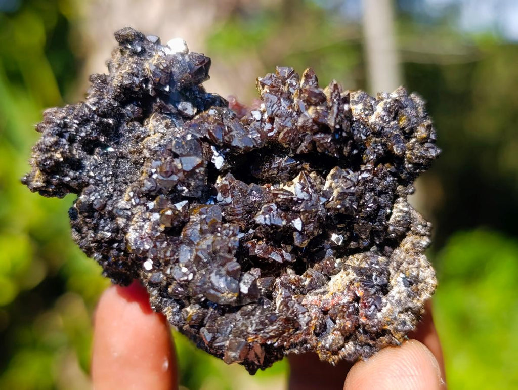 Natural Rare Crystalline Descloizite Specimen x 1 From Berg Aukas, Namibia