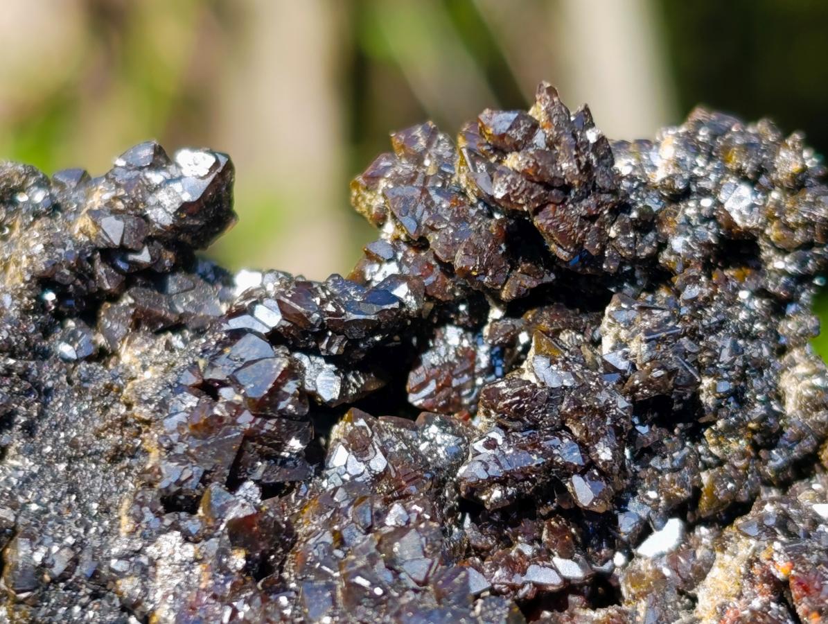Natural Rare Crystalline Descloizite Specimen x 1 From Berg Aukas, Namibia