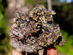 Natural Rare Crystalline Descloizite Specimen x 1 From Berg Aukas, Namibia