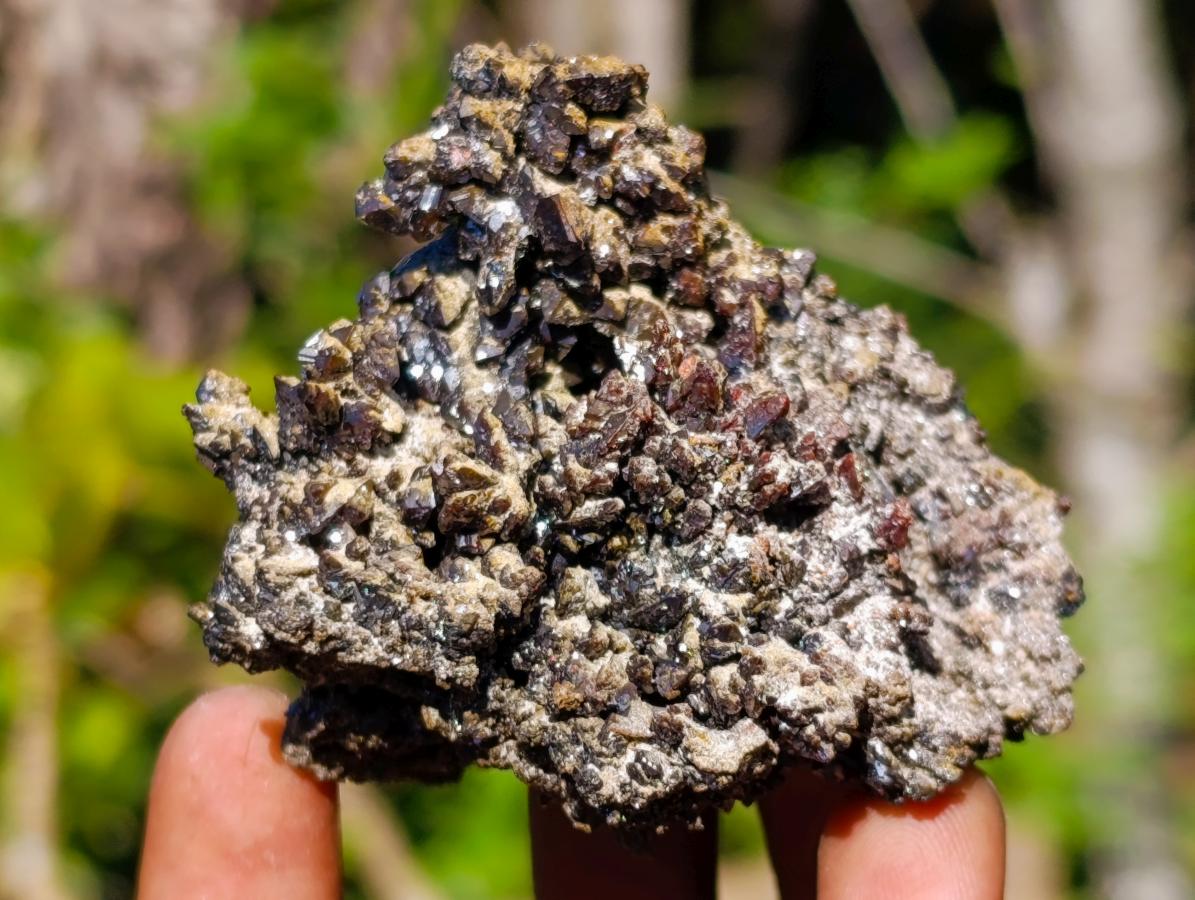 Natural Rare Crystalline Descloizite Specimen x 1 From Berg Aukas, Namibia