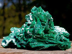 Natural Bladed Malachite after Azurite Pseudomorph Specimen x 1 From Kolwezi, Congo