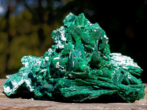 Natural Bladed Malachite after Azurite Pseudomorph Specimen x 1 From Kolwezi, Congo