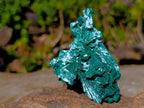 Natural Bladed Malachite after Azurite Pseudomorph Specimen x 1 From Kolwezi, Congo