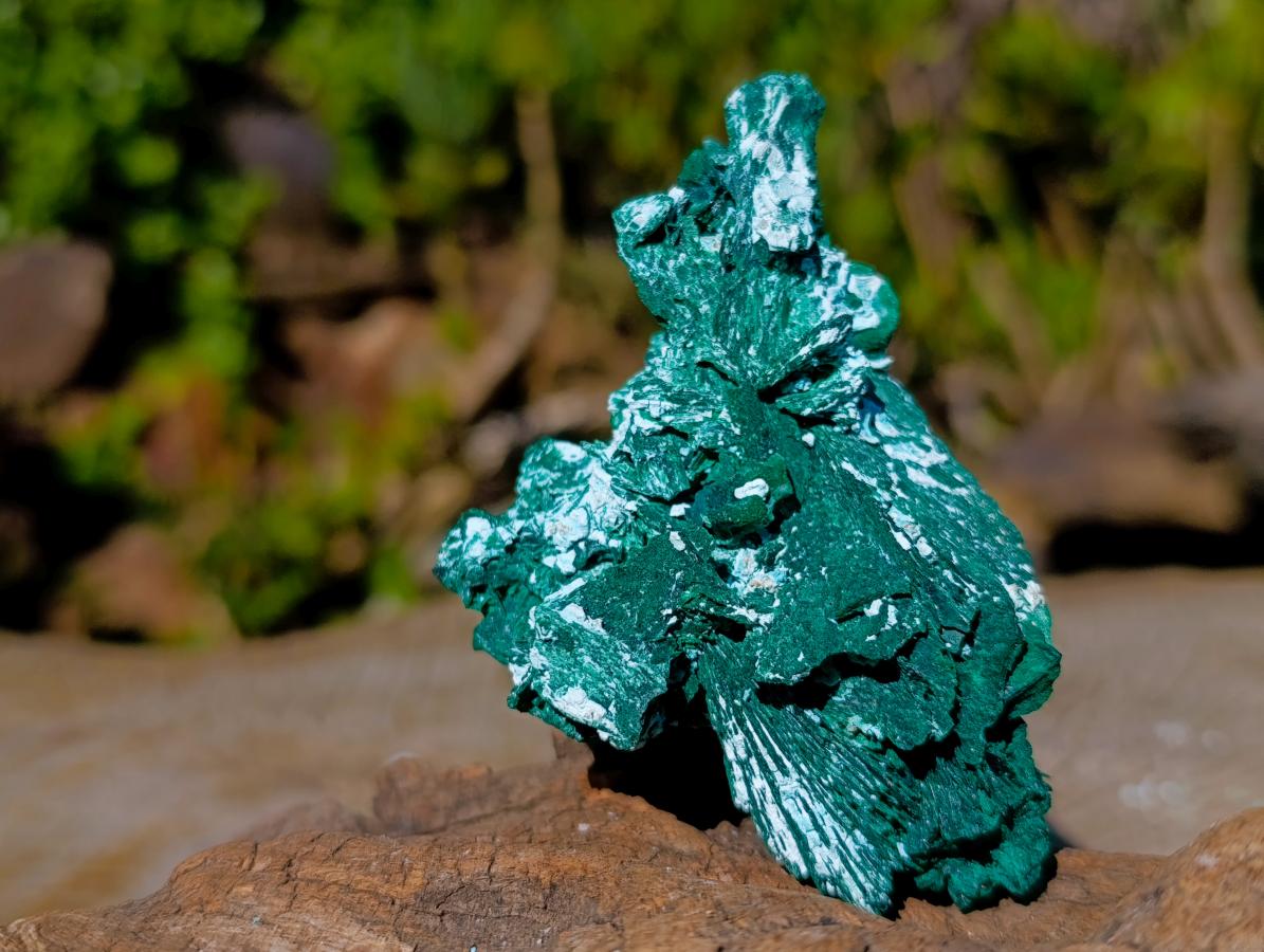 Natural Bladed Malachite after Azurite Pseudomorph Specimen x 1 From Kolwezi, Congo