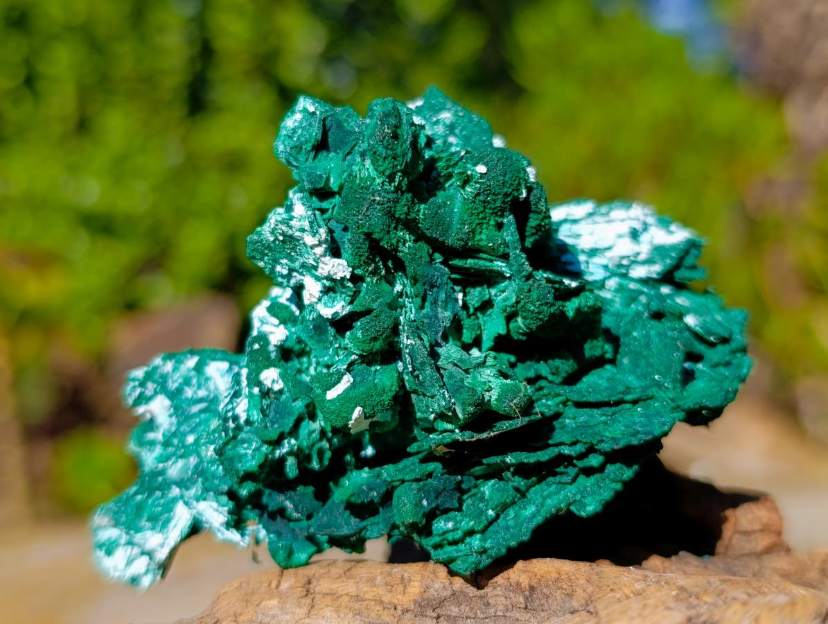 Natural Bladed Malachite after Azurite Pseudomorph Specimen x 1 From Kolwezi, Congo