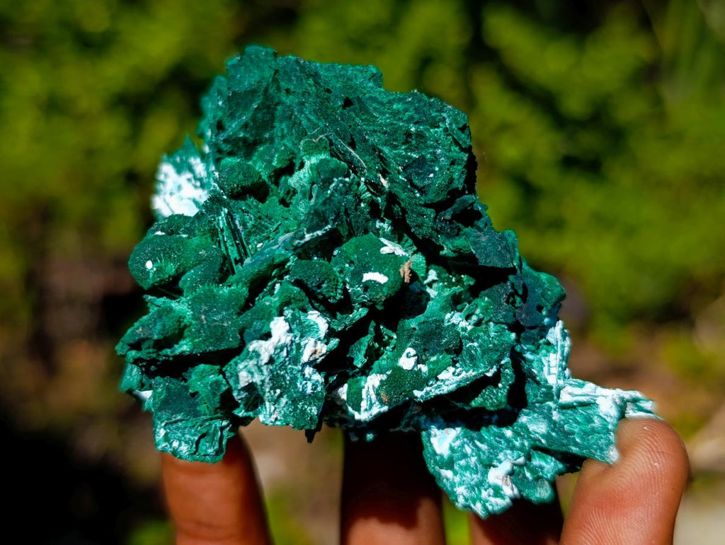 Natural Bladed Malachite after Azurite Pseudomorph Specimen x 1 From Kolwezi, Congo
