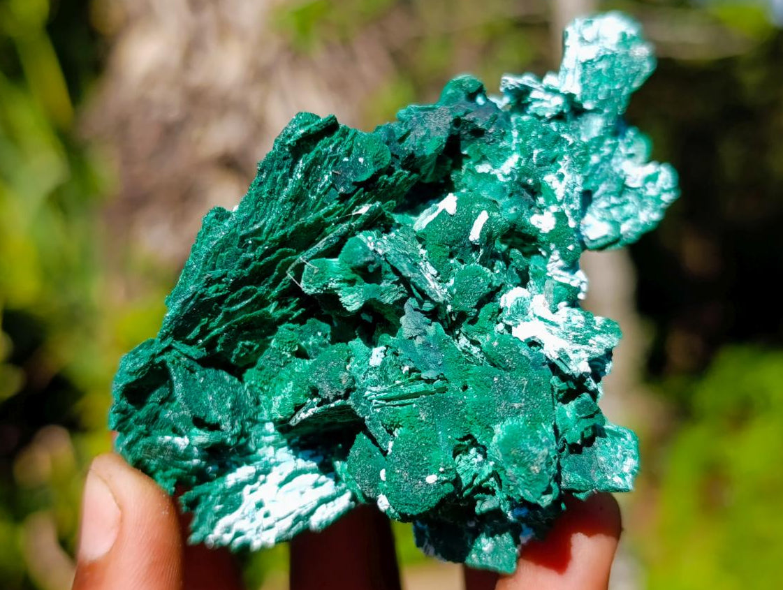 Natural Bladed Malachite after Azurite Pseudomorph Specimen x 1 From Kolwezi, Congo