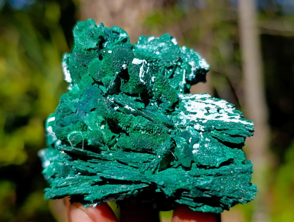 Natural Bladed Malachite after Azurite Pseudomorph Specimen x 1 From Kolwezi, Congo