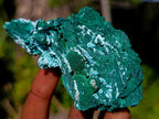 Natural Bladed Malachite after Azurite Pseudomorph Specimen x 1 From Kolwezi, Congo
