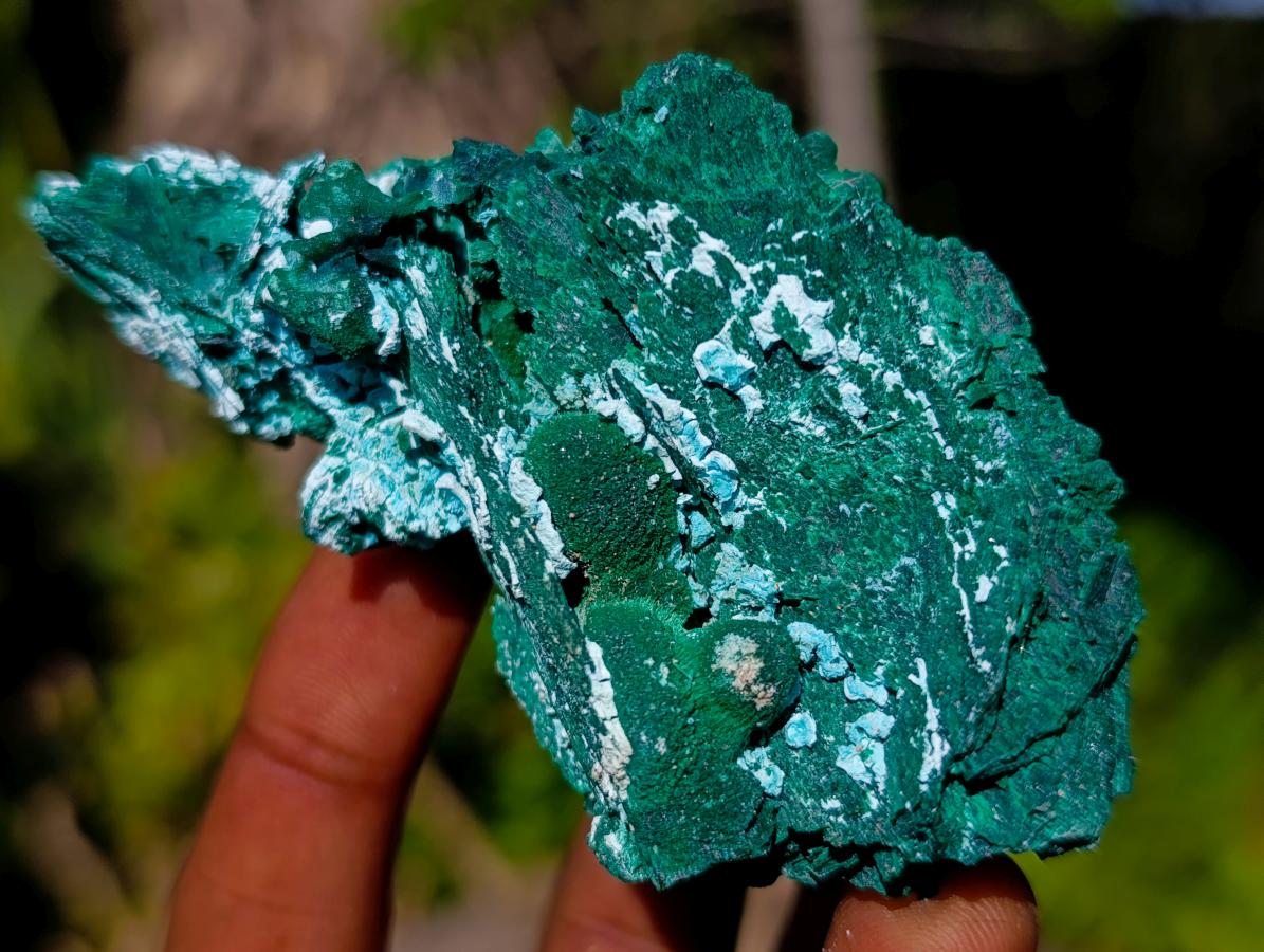 Natural Bladed Malachite after Azurite Pseudomorph Specimen x 1 From Kolwezi, Congo