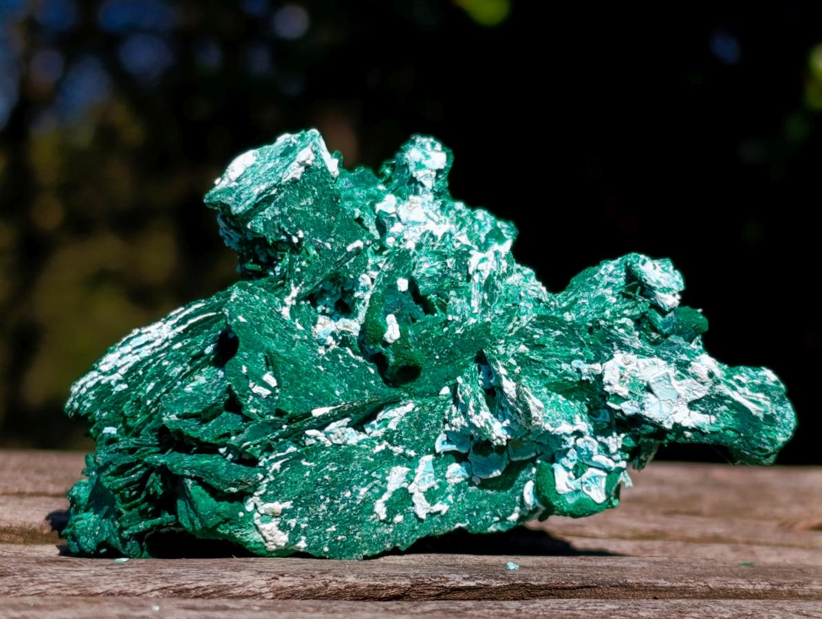 Natural Bladed Malachite after Azurite Pseudomorph Specimen x 1 From Kolwezi, Congo